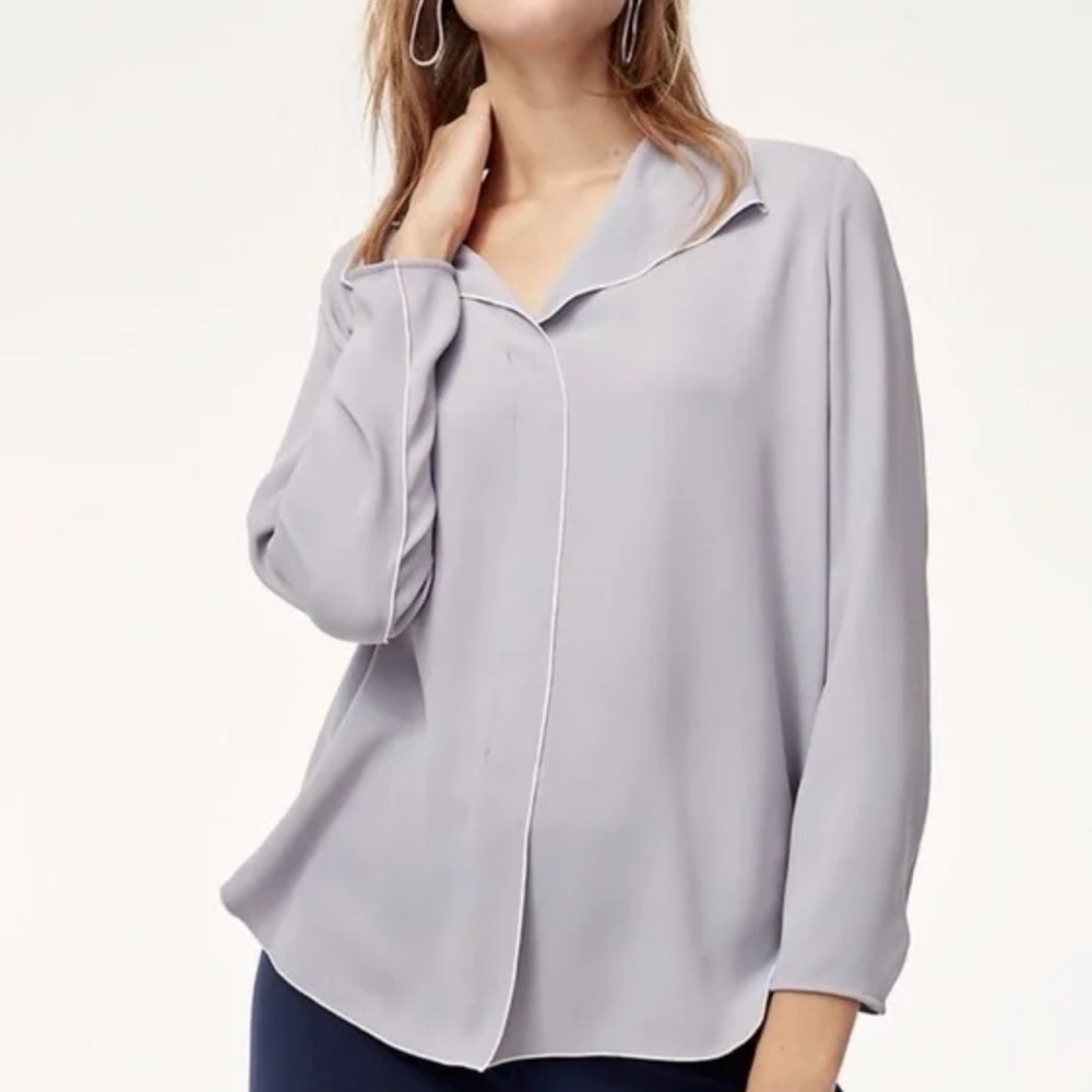 Aritzia Babaton Light Gray Women's Long-Sleeve V-Neck Blouse